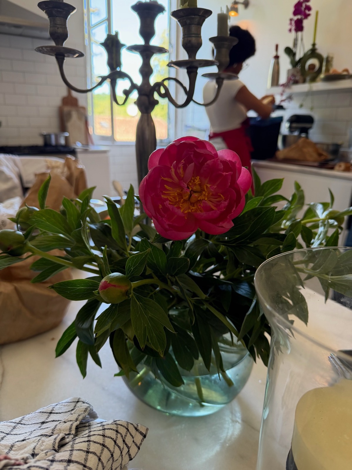 Peonies in the kitchen