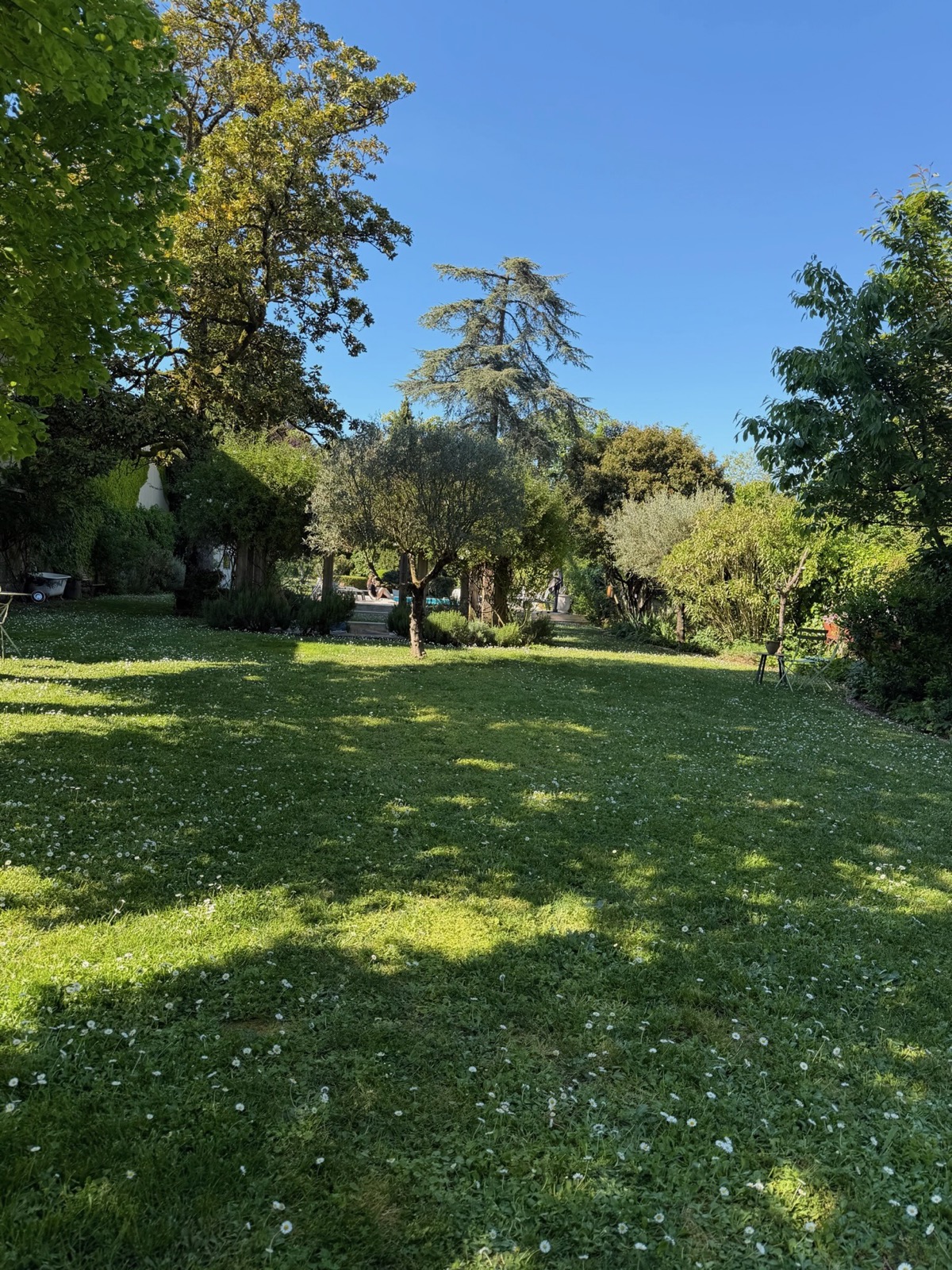 The garden