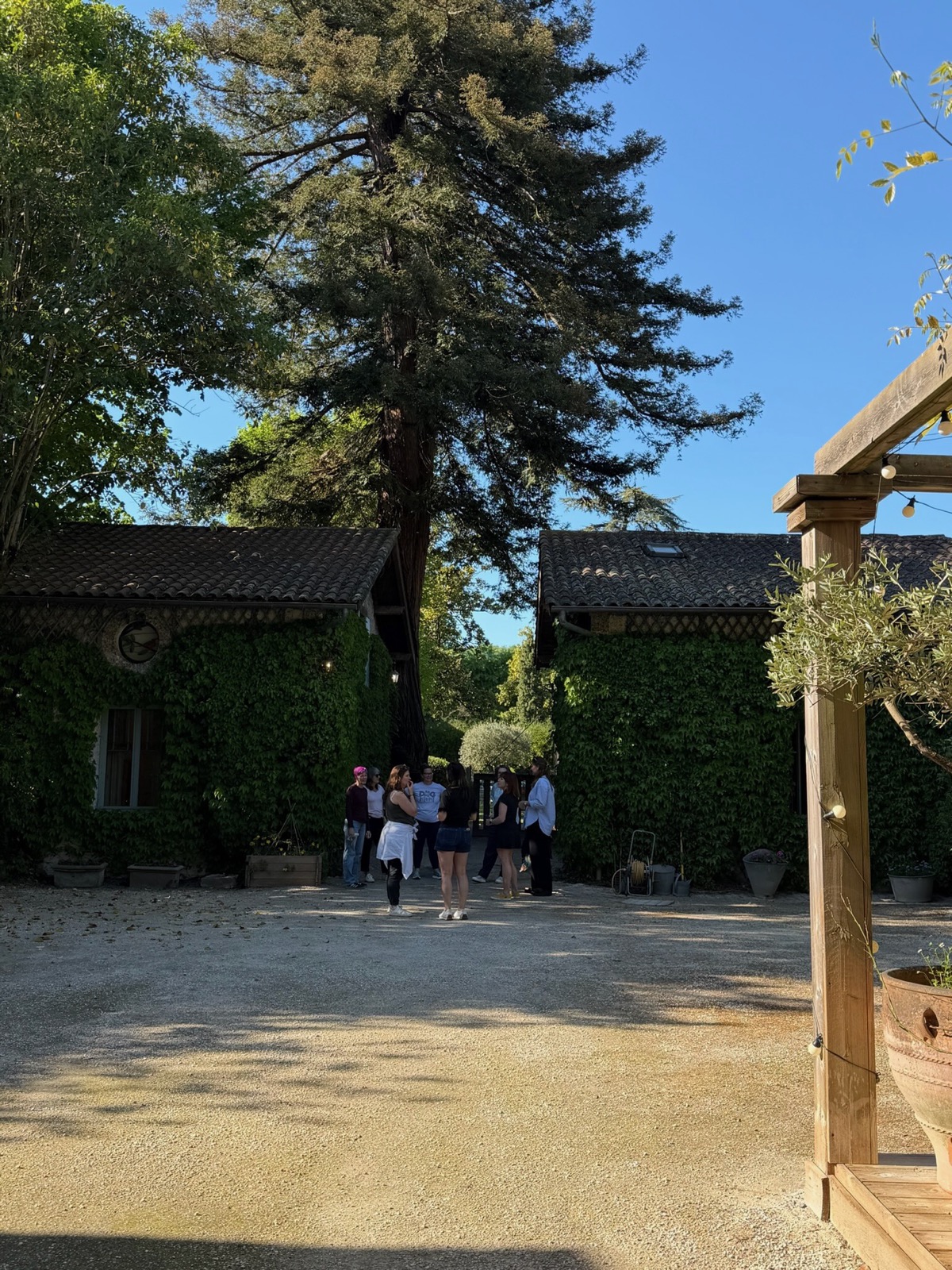 Arrival at the maison de maître