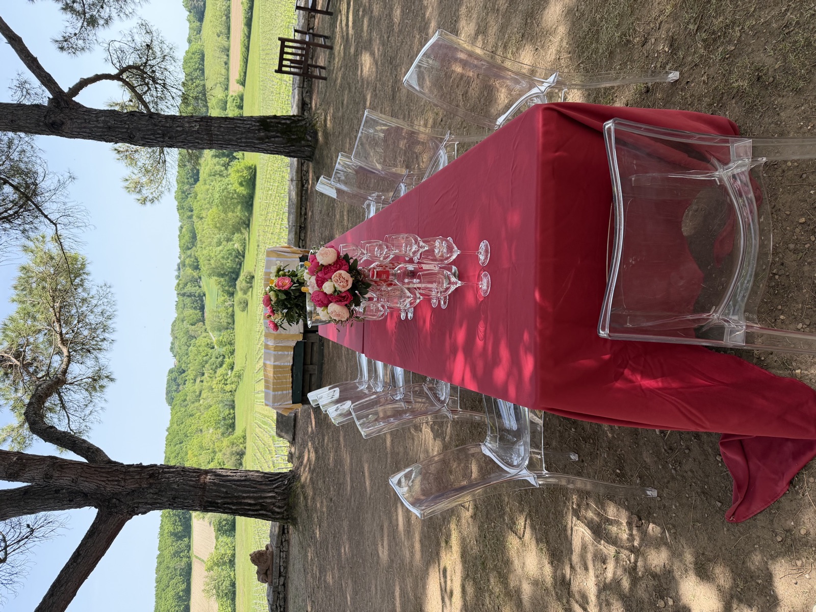 Clarity Uncorked 2026