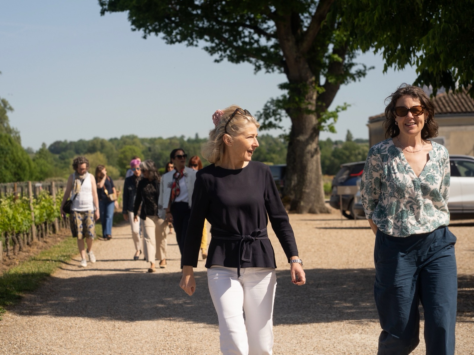 A walk through the vines